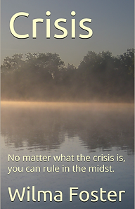 Crisis Book Cover