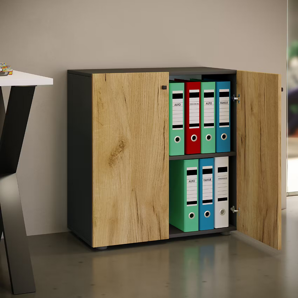 Miniatura: Edu - Archivero