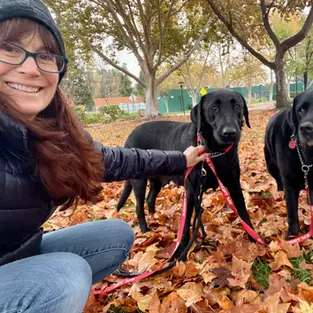 Woman sitting with two black dogs among autumn leaves in a park.