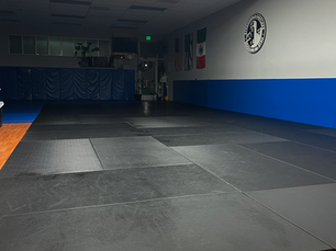 Empty jiu jitsu mats after class, softly lit, a quiet moment of reflection and stillness