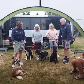 The dogs had visitors