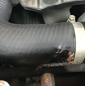 National services for travellers