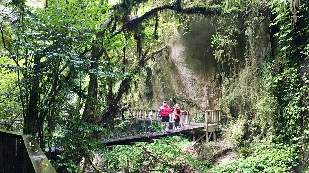 Mangapohue land bridge