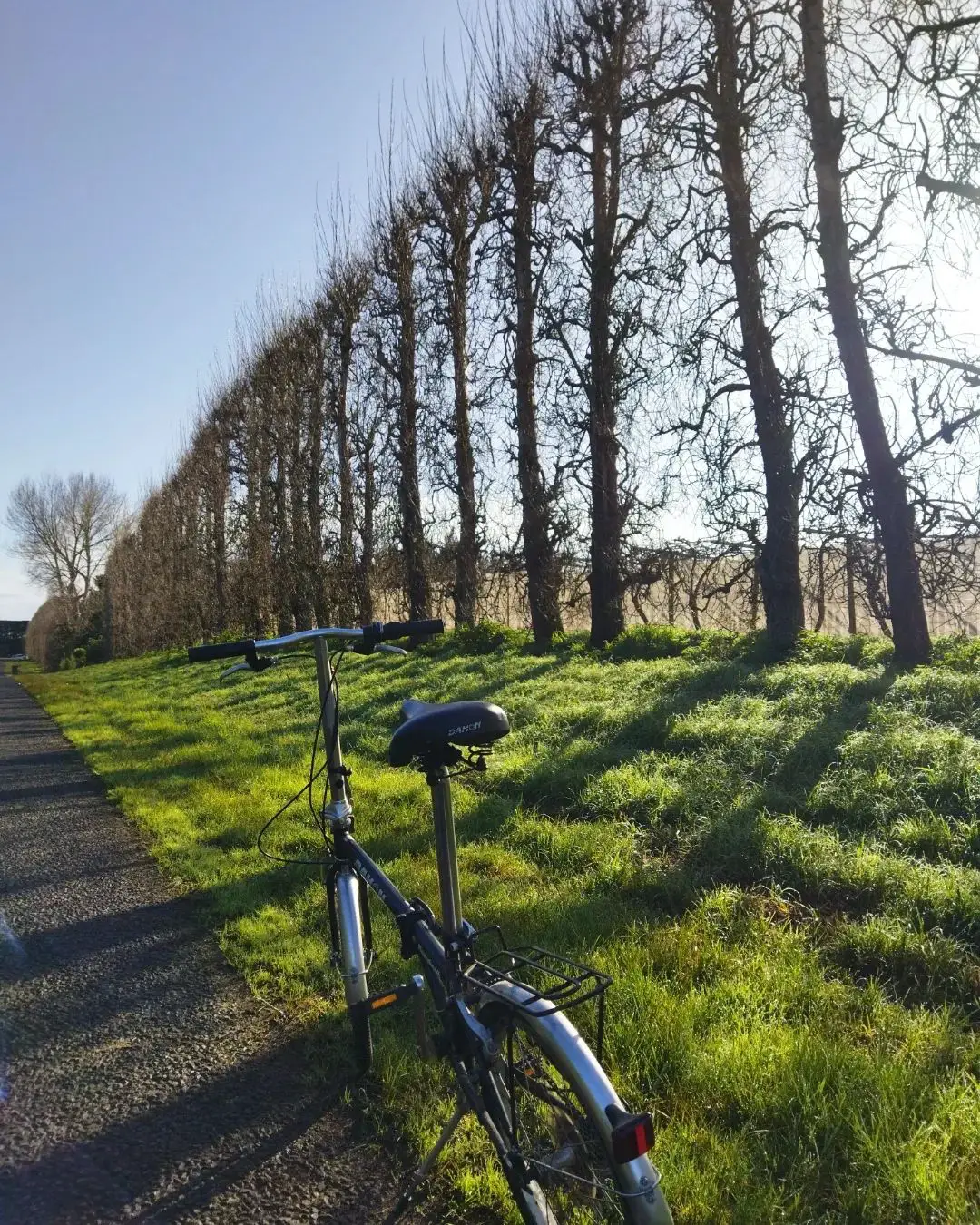Cycling on a stunning Spring day around the Katikati coastal estuary cycle way.