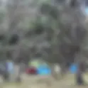 All Points Camping at Morisons Bush | Camping the Kiwi Way
