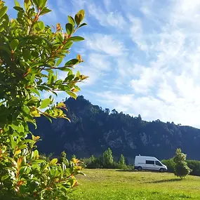 Bylaws differ between regions of Aotearoa New Zealand, and do not exist in almost half of all council districts.
Bylaws are created by local authorities — regional and district councils — to manage public land and facilities.