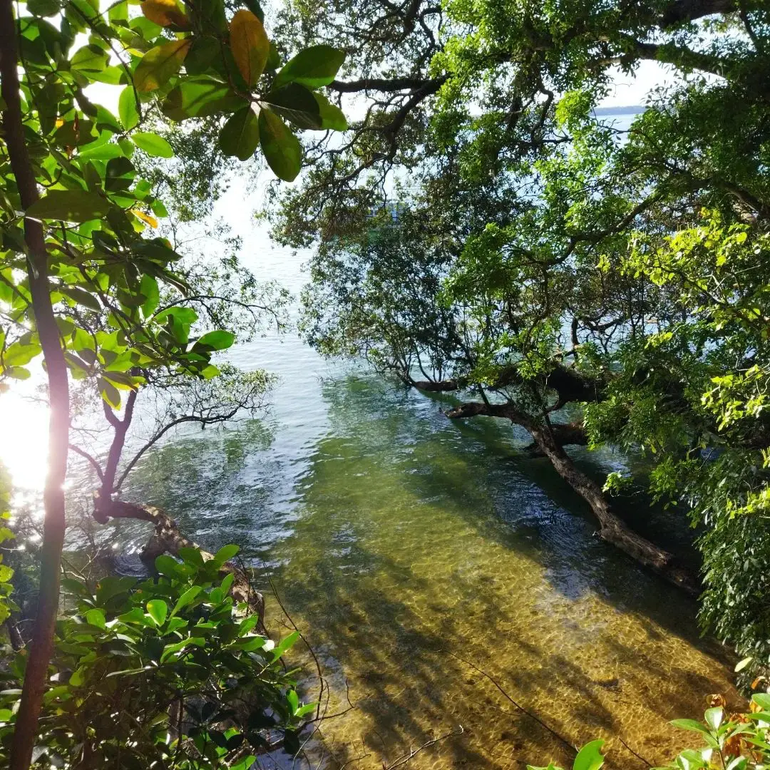 Recharging at Tanners Point