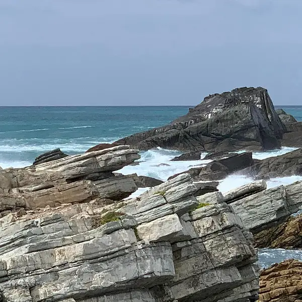 We spent a few days on the coast out from Martinborough, Te Awati camping area and then back to North Tora Reserve, some very rough coastline.