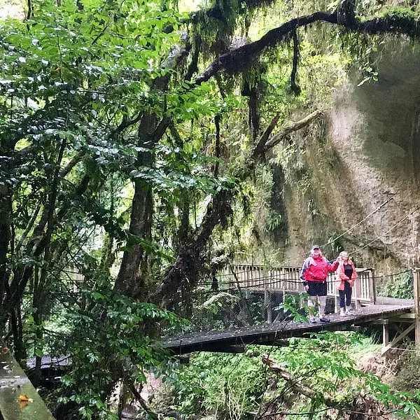 Next time you’re in the Waitomo area (the Waikato region of the North Island) it’s worth the detour to check out three natural landmarks that are really close together, on the Te Anga Road.