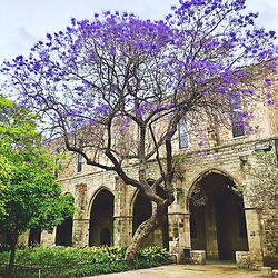 Binnenplaats van Hospital de Santa Creu in Barcelona