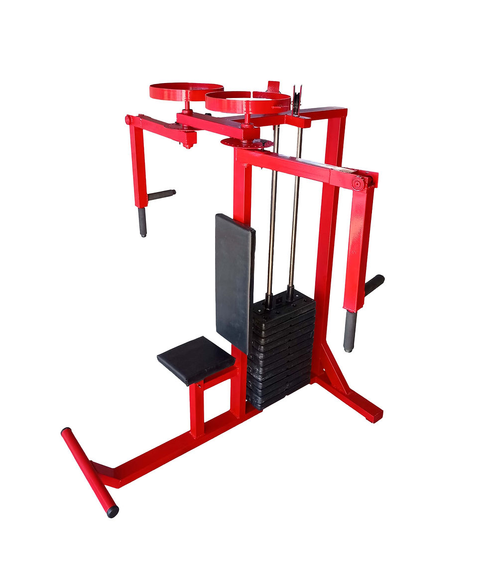 Miniatura: Maquina Gimnasio Peck Deck + Hombros Posteriores  a Lingotes