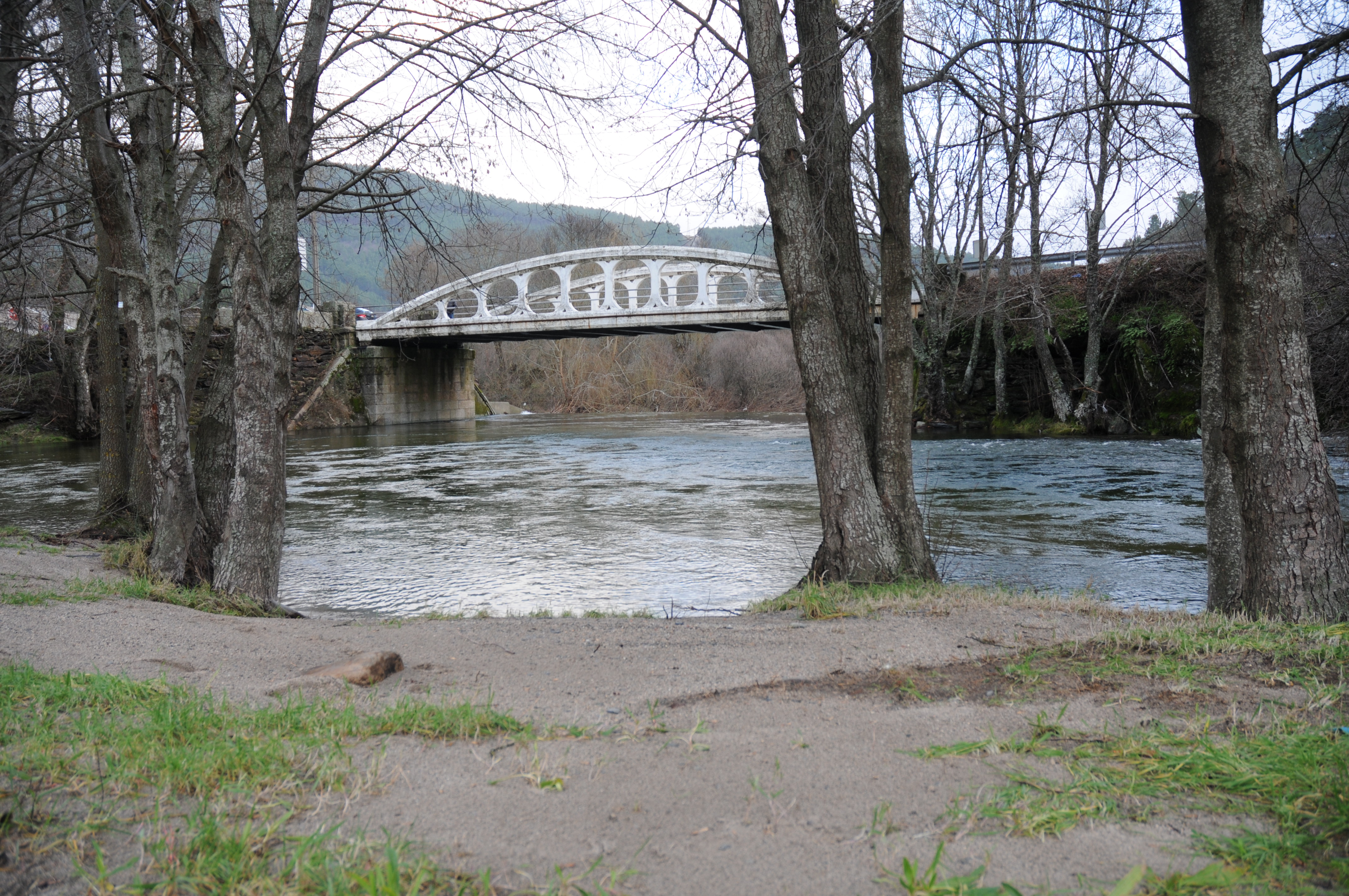 Ponte