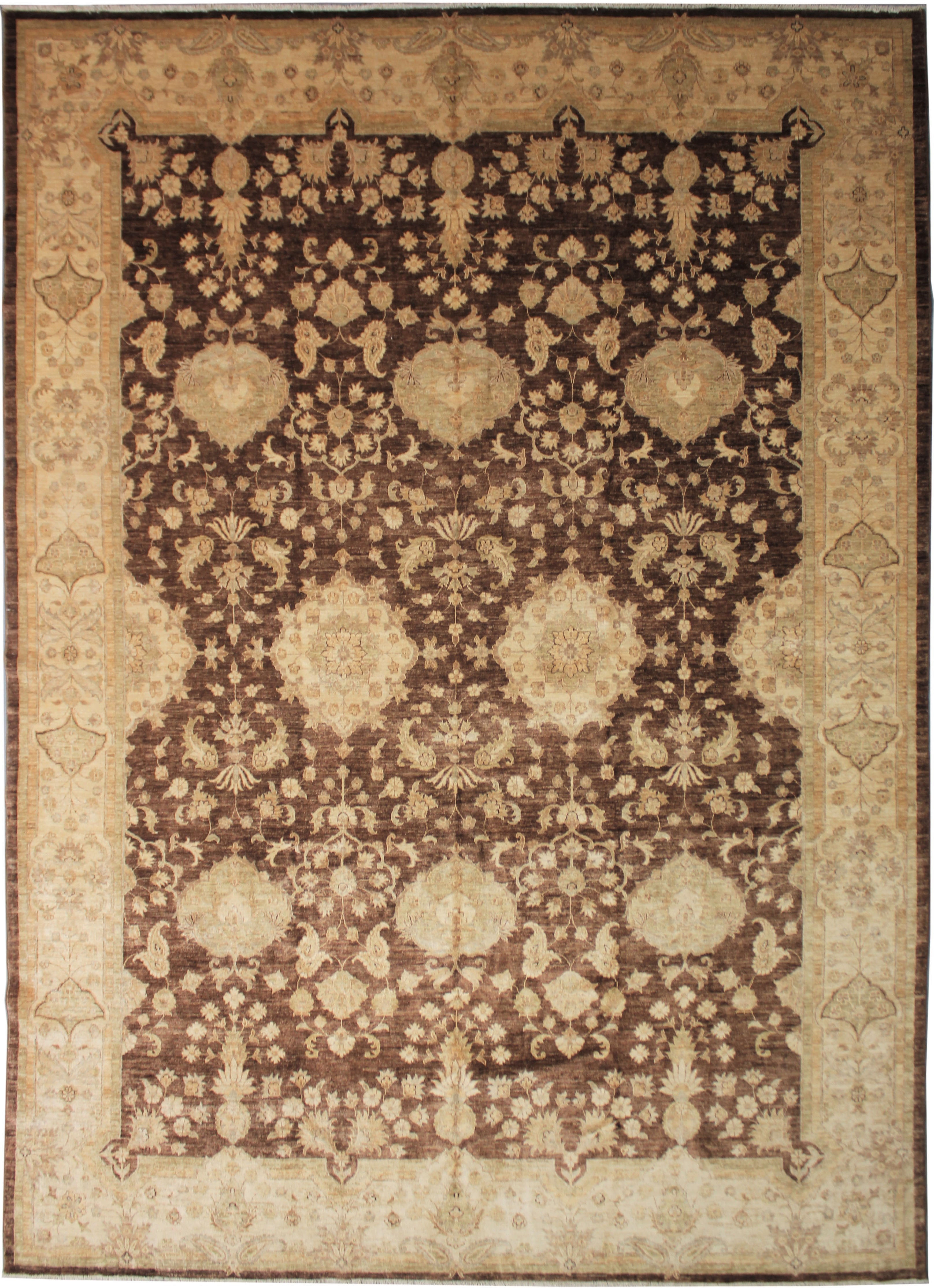 Hand Knotted Wool & Cotton Rug 9'11" x 13'4"