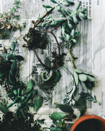 Our favorite media on sustainable fashion & actions!