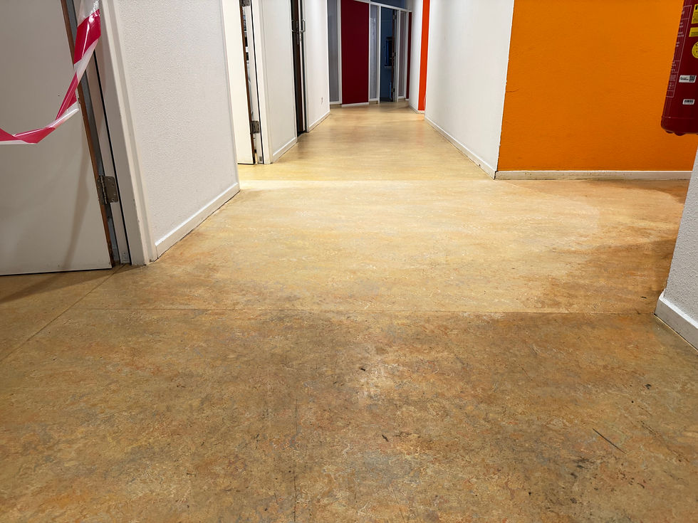 Gedeeltelijk gestript en gecoat.jpeg