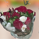20201018_002540-removebg-preview (1).png