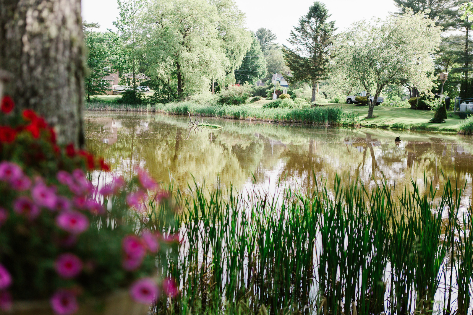 Fullscreen Page WildduckCampground