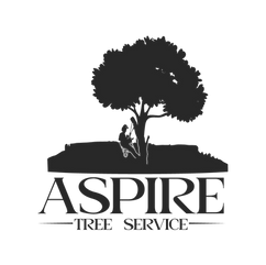 ASPIRE-TREE-SERVICE.png