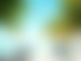 Tournage vidéo dans les Antilles : nos conseils pour bien s'organiser