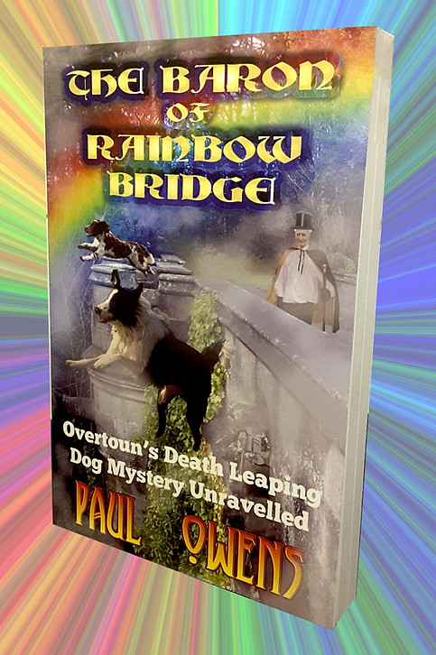 Book Promotion Cover.jpg