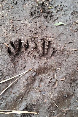 Imagem do WhatsApp de 2025-05-20 à(s) 10.45.51_5aa55cc5.jpg