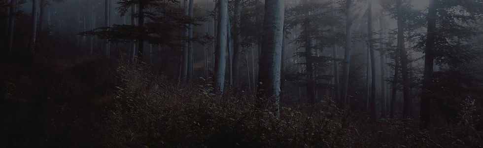 About nefarious jungle image