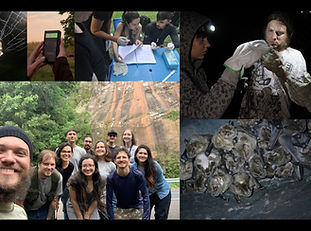 Imagem do WhatsApp de 2025-05-20 à(s) 10.51.51_9bce4300.jpg