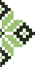 орн1.png
