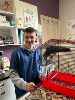 2023 Шаповалов Олексій, практика, Бельгія (4)