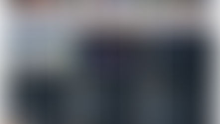 Участь у розвитку професійної освіти в аграрних коледжах України