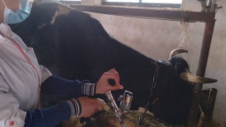 Навчальна практика