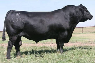 RM Ironstone 4047.jpg