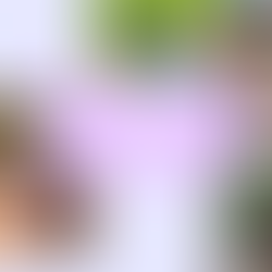 6月のAdventure day！