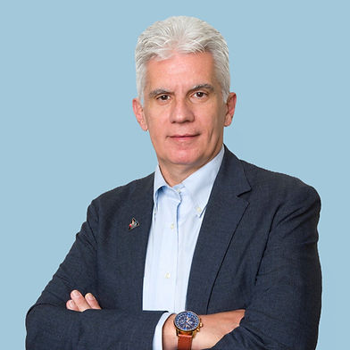 Δημήτρης Π. Λαπατσάνης