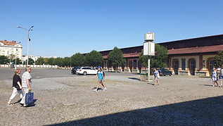 20190724_100621.jpg