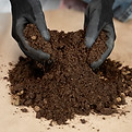 high-angle-hands-holding-potting-soil.jpg