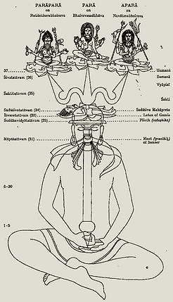 Tracé du Trident