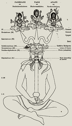 Tracé du Trident