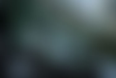 Save the Mishmi Hills from the Etalin dam: a repository