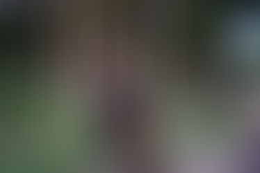 Remembering Rabha da