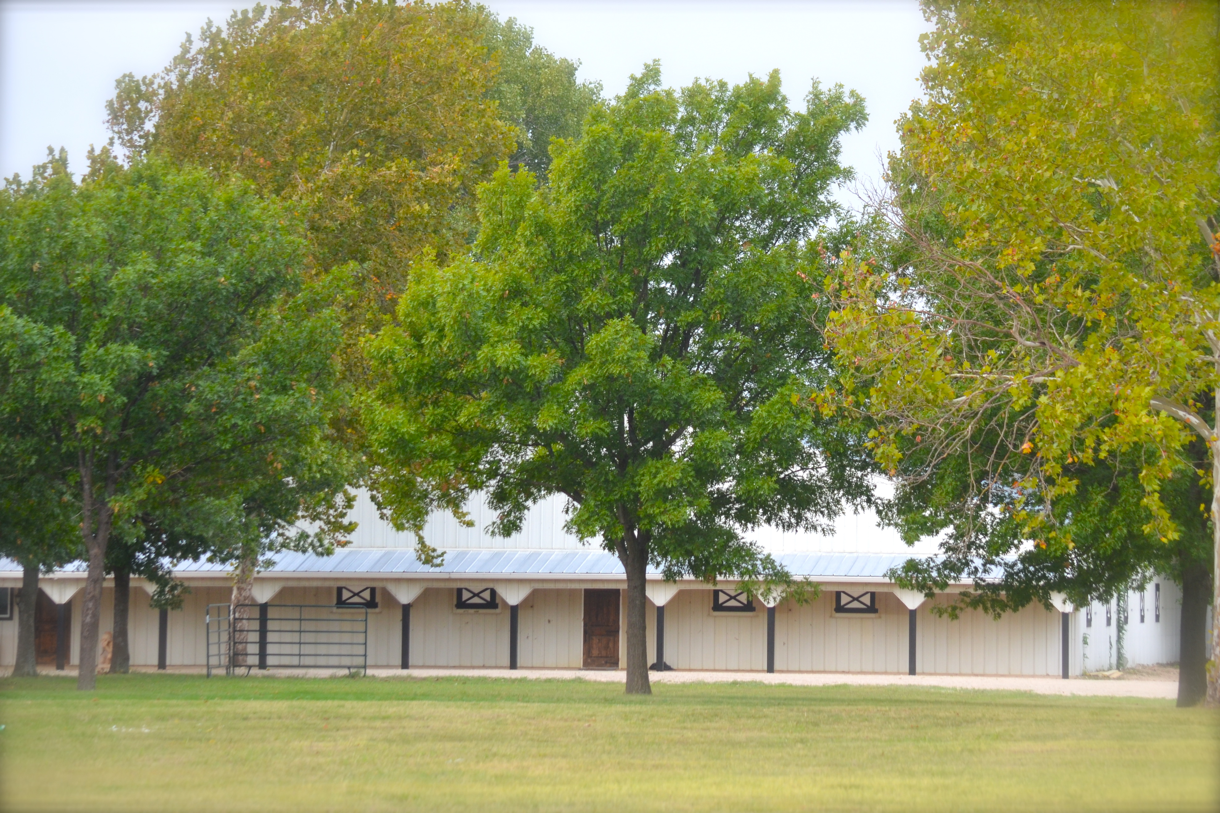 3R's Ranch Prosper TX 75078