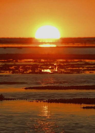Por-do-Sol-Gifs-Baixar.gif
