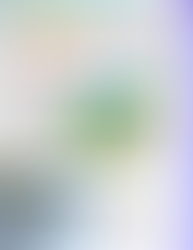 Magnus the Mongoose the series featured in Global TV mag