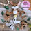 Thumbnail: Australian animals felt set of 6 PDF Patterns. DIY felt toys, Kangaroo, koala...