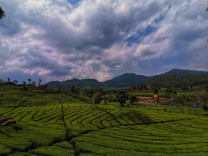 Liburan Seru: Aktivitas Rekreasi di Puncak Bogor — inspirasi dari Villa Bango di Cilember, Puncak