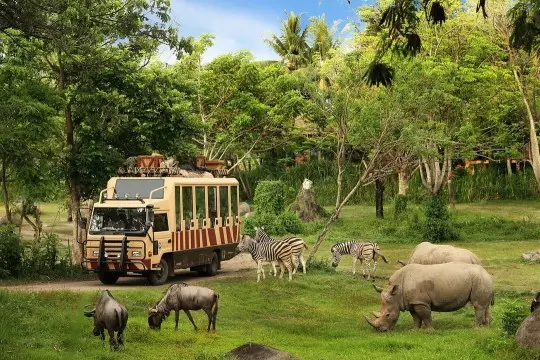 gambar taman safari indonesia