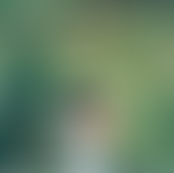 Cimory Dairyland Puncak Bogor: Destinasi Wisata Terbaik di Puncak