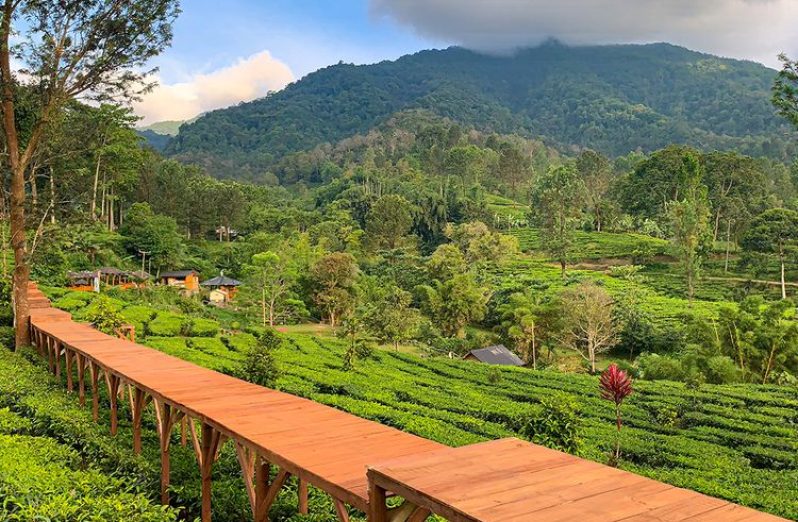 Hal yang Membuat Puncak Bogor Menjadi Tujuan Wisata Terbaik — inspirasi dari Villa Bango di Cilember, Puncak