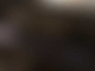 Beta Release 11-7-2024 - V 0.0.25