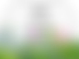 7月スケジュールのお知らせ